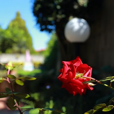 Ambrosio Relais Oda ve Kahvaltı Sorrento