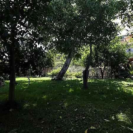 Ambrosio Relais Bed & Breakfast 4*