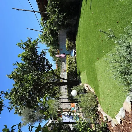 암브로시오 릴레