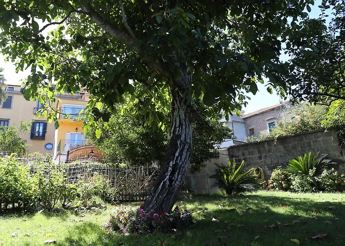 Bed & Breakfast Ambrosio Relais Sorrento