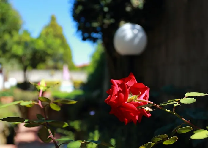 Ambrosio Relais Bed & Breakfast Sorrento